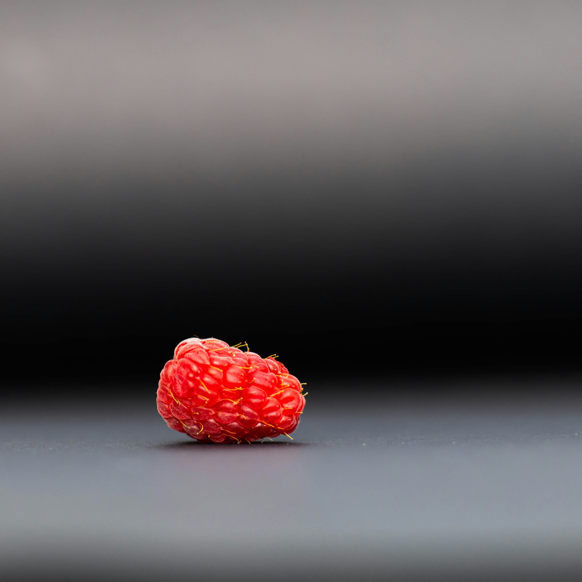 A single fresh raspberry on a dark surface